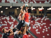 独行侠前途光明！，詹姆斯新星大比分获胜表现突出比赛高潮迭起的简单介绍