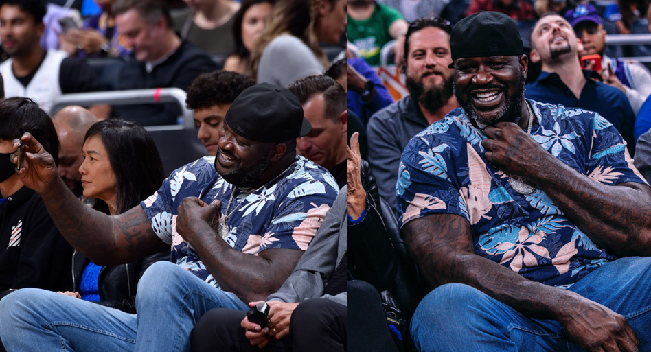  阿拉伯数字改为动物 